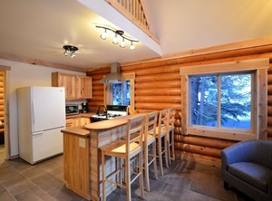 Alyeska Hideaway Log | Girdwood