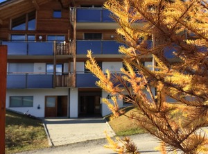Amici Stock Allegra | Riederalp