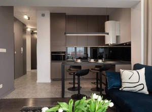 Apartamenty Platinex | Zator