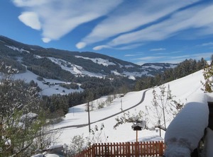 Moosbrunn | Alpbach