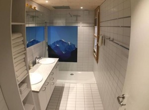 Alp | Central Interlaken