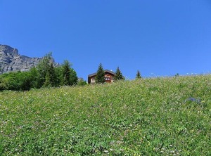 Arcadia | Leukerbad