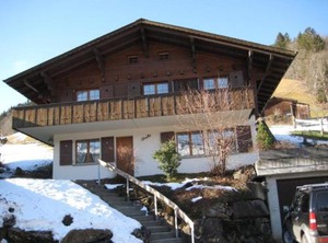 Arnika | Lenk