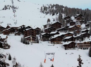Bärgblüemli Parterre | Bettmeralp
