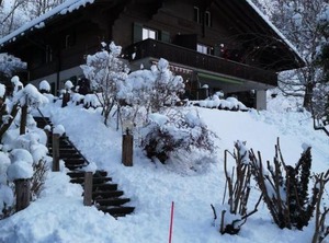 Chalet Flöschhorn | Lenk