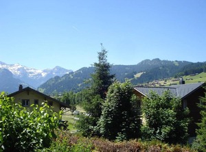 Chalet Flöschhorn | Lenk