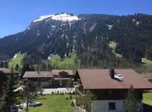Chalet Flöschhorn | Lenk