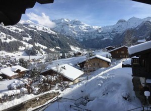 Chalet Waldchutz Stock | Lenk