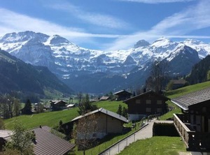 Chalet Waldchutz Stock | Lenk