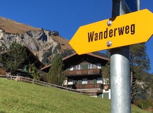 Chriba | Lenk