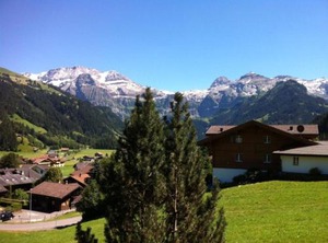Chriba | Lenk
