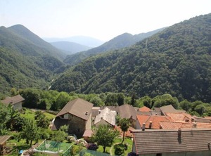 Ginevra | Aurano