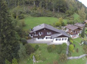 Goldrose | Zweisimmen