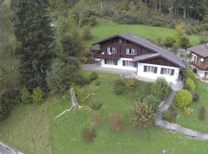 Goldrose | Zweisimmen