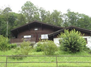 Goldrose | Zweisimmen
