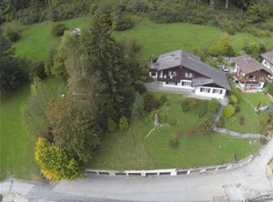 Goldrose | Zweisimmen