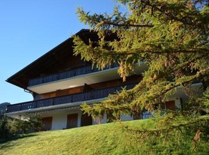 Hornflue Wohlwender | Saanen