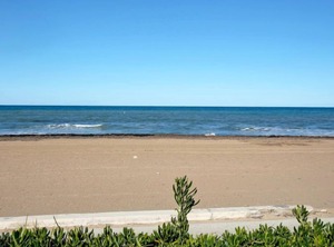 Medina Molins | Denia