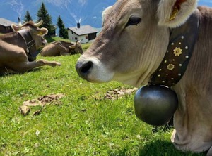 Mitenand Attika | Bettmeralp