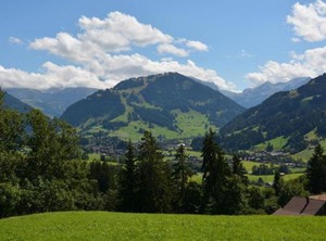 Rehweid Eg | Saanen