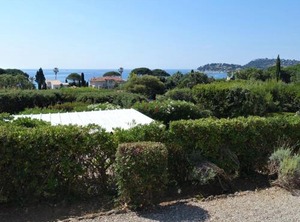 Riva | Cavaliere