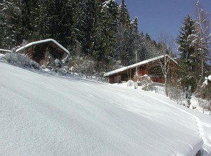Chalet | Zweisimmen