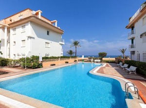 Talima | Denia