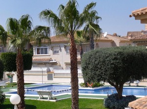 Tamarix | Torrevieja