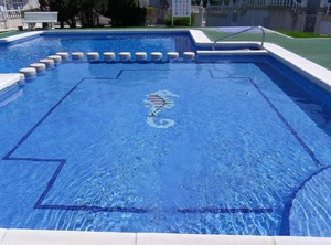 Tamarix | Torrevieja