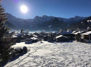 Turmalin Stock | Lenk