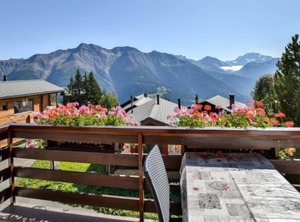 Waldesrand Bättlihorn | Riederalp