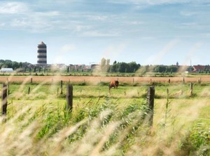 Zen Aan Zee | De Haan