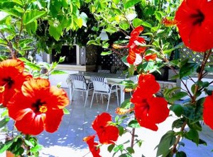 Apartments Iris Korčula | Cove Tri Zala (Zrnovo)
