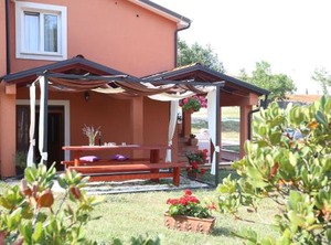 Matelici | Divsici