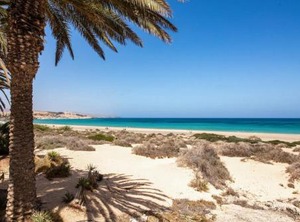 The Beach Terrace | Bahia Calma