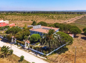 Arrifana Pines Vales | Vales