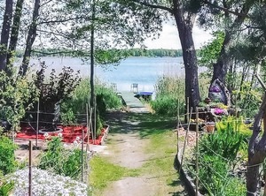 Accommodation Wilcze | Wolsztyn