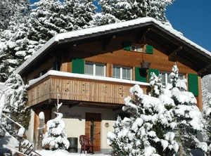 Bärgchutzli Stock | Adelboden