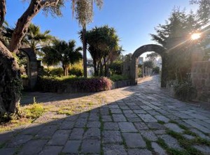 Villa Regine | Forio