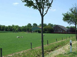 Farm Huesmann | Dieksanderkoog