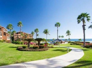 Ballena Casa Del Mar San José Cabo | San Jose del Cabo