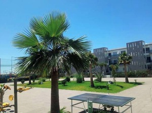 Blanca Beach | Sidi Rahal