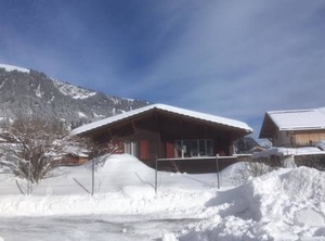 Bodehus | Adelboden
