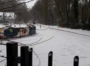 Bospark Schaapskooi | Municipality of Epe