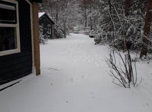 Bospark Schaapskooi | Municipality of Epe