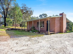 Braeside Alphitonia | Central Tilba