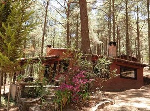 Cabañas Tapalpa Sierra Del Tecuan Cabaña | Tapalpa