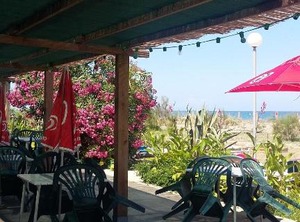 Camping Europa Beach | Sorbo-Ocagnano
