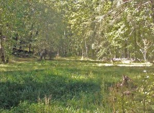 Camping Bonheur Type | Escaro