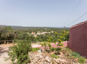Casa Amoreira Quinta | Espargal